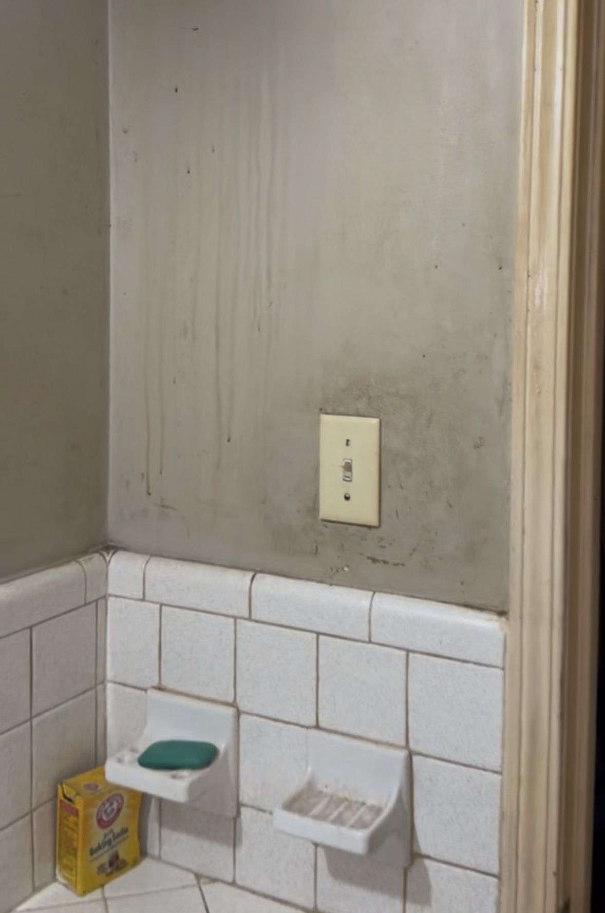 IMG 1025